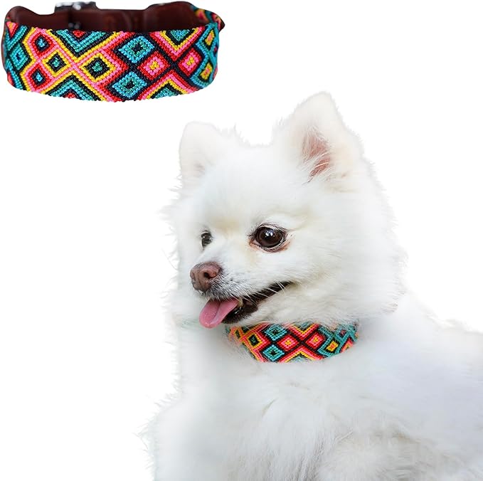 Eternia Premium Leather Dog Collar - Adjustable Handcrafted Collar for Small to Large Dogs (Green/Red, XL)