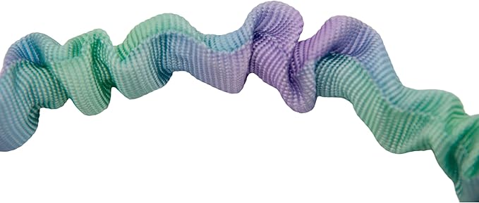 Dual Handles Bungee Dog Leash, Ombré Color Shock-Absorbing Dog Leash with 360° Swivel Clasp, for Small to Medium Dogs (4 – 5.5 ft) (Violet-Green Ombré)