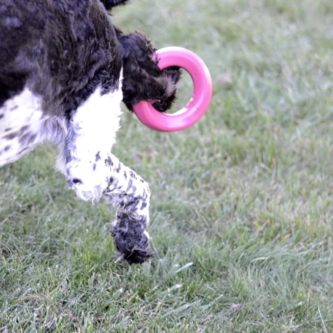 Mutty Dog Chew Ring - Made in USA Dog Toys for Chewers - One Meal Donated to Shelters per Toy - Durable Rubber Puppy and Adult Dog Toy - Non-Toxic 100% Food Grade Materials