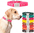 dogIDs Personalized Dog Collar – ScruffTag Custom Waterproof Biothane Dog Collar with Laser-Engraved Name, Durable & Odor-Resistant – USA Made | Pink, 1 in x 16 in (Fits Neck Sizes 14-18 in)