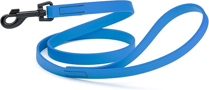 Dogline Biothane Waterproof 6ft Dog Leash Strong Coated Nylon Webbing with Black Hardware Odor-Proof Easy to Clean High Performance for Small or Large Dogs Made in USA 6ft Lead, Cerulean Blue