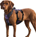 AUROTH Escape Proof Dog Harness - No Pull with Lift Handle, Soft Padded Reflective Adjustable Vest, Large for Walking, Hiking, Training