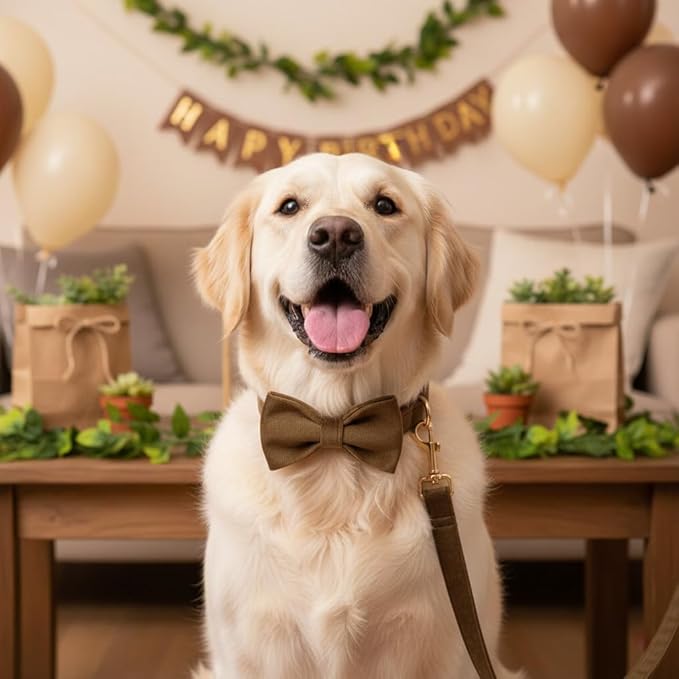 PETDURO Personalized Dog Collar Brown Soft Velvet for Large Medium Small Boy Girl Dogs - Custom Collar with Name Phone Engraved on Gold Metal Buckle - Add Matching Leash Bow Set via Customize Now