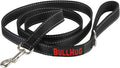 BULLHUG 6 FT Bulldog Leash with Padded Handle. Perfect for Bulldogs, French Bulldogs, Pugs & All Breeds. Leashes for Walking, Training Lead for Bulldogs (Reflective Stitching, Black)
