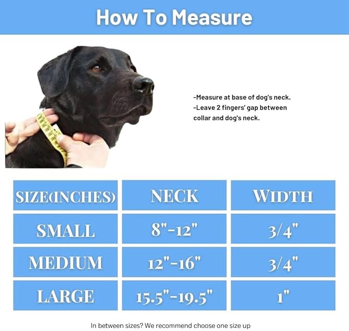 Waterproof Dog Collar, Soft Comfortable Pet Collars, Adjustable Odor Proof Heavy Duty Dog Collars Easy to Clean for Large, Medium Small Dogs by Bee N Buu (Cyan Blue, Small (length8-12, Width 3/4"))