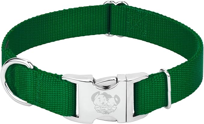 Country Brook Petz - Premium Nylon Dog Collar with Metal Buckle for Small Medium Large Breeds - 10+ Cool Colors (Small, 3/4 Inch, Christmas Green)