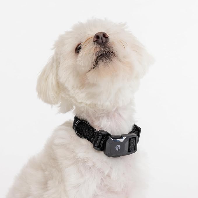 2026 New Edition, Fei & Eve MagEase Dog Collar - Patented Magnetic Buckles | Fur-Safe | Premium 210D Nylon | 450LB Escape-Proof | Adjustable Fit | Small (Black)