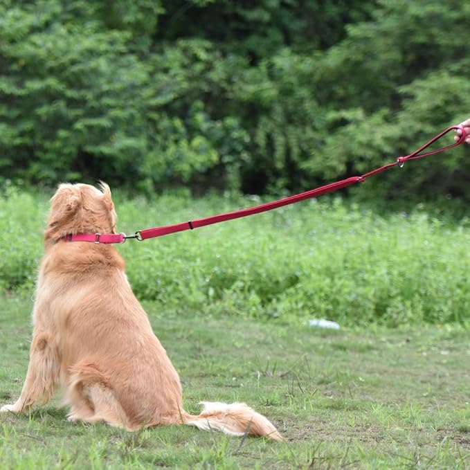 Hyhug Nylon Adjustable 4-6ft Dog Leash with Soft Neoprene Padded Handle, Durable Heavy Duty Leash with Easy-to-Use Bolt Snap, Ideal for Jogging Outdoor