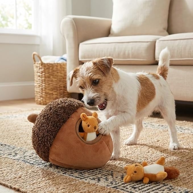 MODERN WAVE - Interactive Squeaky Plush Hide and Seek Squirrel Type Puzzle Toy for Dogs, Medium Size (Acorn and Squirrels)