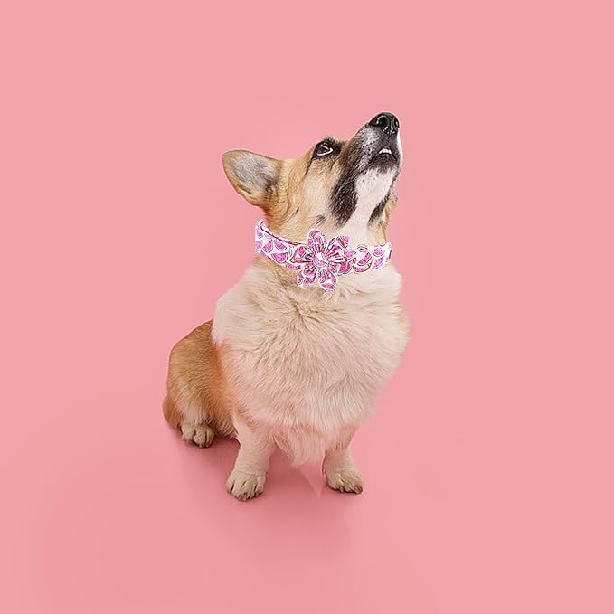 Elegant little tail Dog Collar with Flower, Watermelon Print Pet Collar Flower Pet Collars Summer Cute Adjustable Dog Collars for Large Dogs