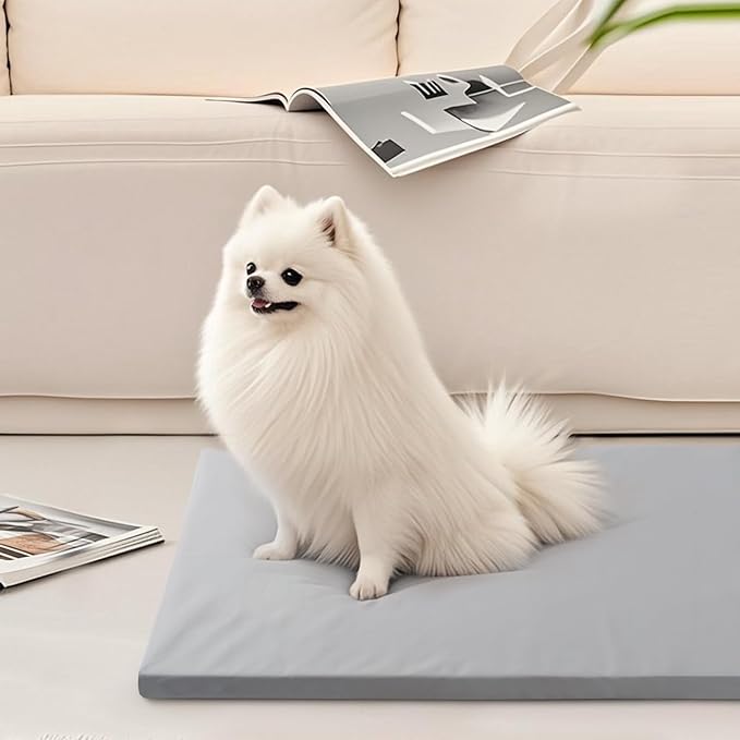 Dog Mat,19"x 30"Dogs Crate Pad,Indoor Non-Slip & Waterproof Dog Mat,Easy Wipe Clean in Seconds，Sleeping for Floor,Car,Sofa,Crate