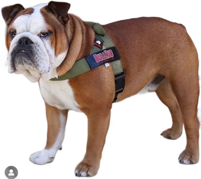 BULLHUG Adjustable Dog Harness– No Pull, No Choke – for English Bulldogs, French Bulldogs, Pugs & Broad-Chested Breeds – Easy, Safe Walks (Olive Green, Small)