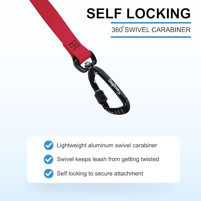 DogTraxs - Essential Dog Leash - Biothane Training Lead - for Small-Large Dogs - Waterproof & Odor Resistant - Self Locking Swivel Carabiner Durable - Made in USA - 3 Feet –Sky Blue