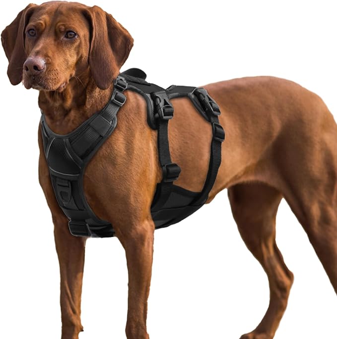 AUROTH Escape Proof Dog Harness - No Pull with Lift Handle, Soft Padded Reflective Adjustable Vest, Large for Walking, Hiking, Training