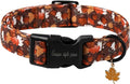 Unique style paws Dog Collar Plastic Buckle with Pendant Hazelnut Maple Leaf Puppy Collars for Small Medium Large Boys Girls Dogs