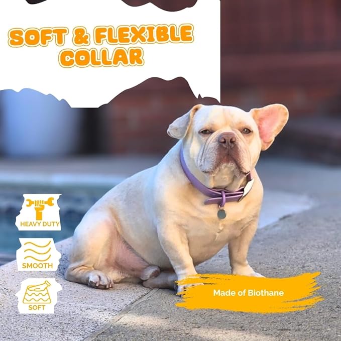 Waterproof Dog Collar, Soft Comfortable Pet Collars, Adjustable Odor Proof Heavy Duty Dog Collars Easy to Clean for Large, Medium Small Dogs by Bee N Buu (Purple, Medium (length12-16, Width 3/4"))