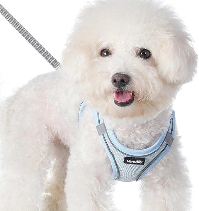 Sparkly Dog Harness Small Sized and Leash Set for Small Dogs Cats,Blue S Puppy Harness, Step in Soft Dog Reflective Vest, Breathable Mesh Pet Harness. (Blue, S)