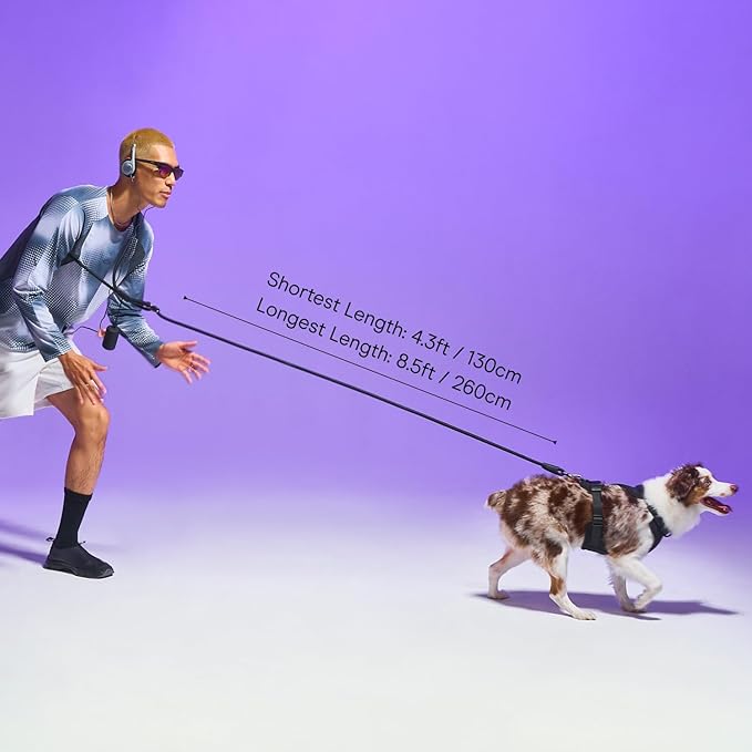 Wild One Hands-Free Adjustable Rope Dog Leash, Standard: 4' to 8.5' Long, .5" Wide, Adjustable for Crossbody, Waist & Handheld, Moonstone