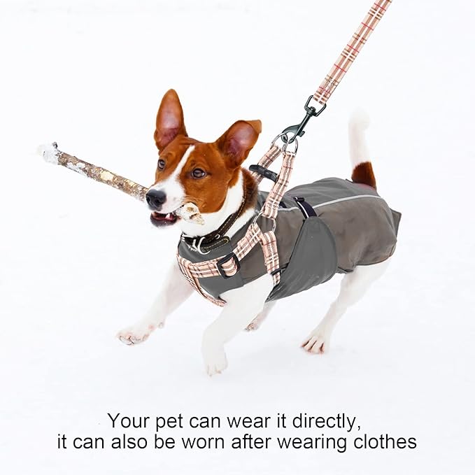 BEAUTYZOO No Pull Dog Harness and Leash Set - Adjustable Step-in Puppy Harness for Small Medium Large Dogs, Escape Proof Soft Nylon Vest with Double D Ring for Walking Running Training, Beige XS