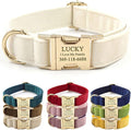PETDURO Custom Dog Collar Personalized with Name Engraved Quick Release Rose Gold Metal Buckle for Large Medium Small Girl Dogs - Dog Leash and Bow Tie Available - Soft Comfy Velvet (Cream G, XS)