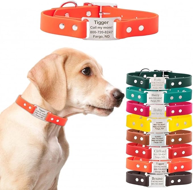 dogIDs Personalized Dog Collar – ScruffTag Custom Waterproof Biothane Dog Collar with Laser-Engraved Name, Durable & Odor-Resistant – USA Made | Blaze Orange, 1 in x 20 in (Fits Neck Sizes 18-22 in)