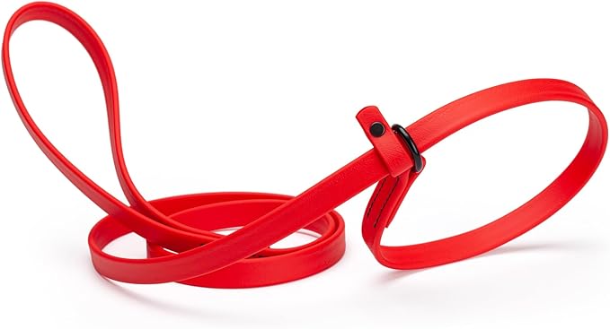 Dogline Biothane Slip Dog Leash - for Small, Medium and Large Dogs - Odor Free Slip Lead, Heavy Duty and Durable Material Kennel Lead - Cherry Red - 5ft L x 3/8in W