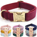 PETDURO Custom Dog Collar Personalized with Name Engraved Gold Metal Buckle for Large Medium Small Girl Dogs - Dog Leash Bow Tie and Harness Available - Soft Comfy Velvet (Claret G, M)