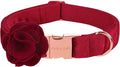 ARING PET Velvet Dog Collars, Christmas Red Soft Pet Collar with Detachable Felt Flower Metal Buckle for Puppy Small Medium Large Boy Girl Dogs-XL