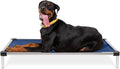 K9 Ballistics Chew Proof Elevated Outdoor Cooling Cot Bed for X Large Dogs - Virtually Indestructible, Preassembled, Withstands Aggressive Chewers - XL, Ripstop Blue Quartz