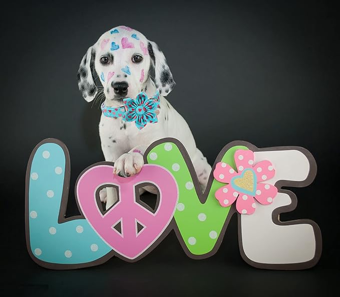 DOGWONG Valentine's Dog Collar with Flower - Blue Heart Adjustable Cotton Heart Dog Collar - Perfect for Small, Medium, Large Dogs