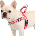 PUPTECK No Pull Dog Harness Small Sized Dog, Adjustable Reflective Pet Vest Harness with Bungee Handle, Escape Proof No Choke Harness for Small Dogs Walking Training, Fuschia Daisy S