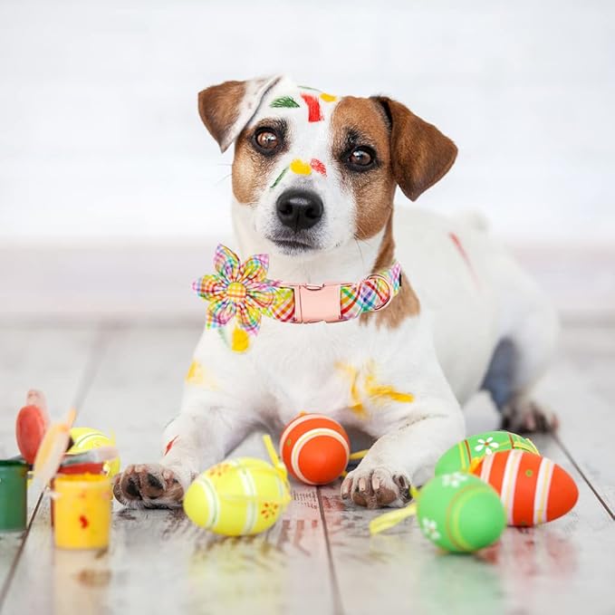 Lionet Paws Easter Dog Collar with Flower - Colorful Cute Cotton Flower Dog Collar with Metal Buckle for Medium Dog Girl, M, Neck 13.5-22in