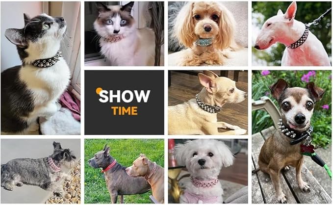 Purple Spiked Collar for Dogs, Girl's Spike Puppy Collars Leather Mushrooms Rivet Female Studded Cat Collars Adjustable for Kitten XXS XS S Medium Large Dogs, X-Small