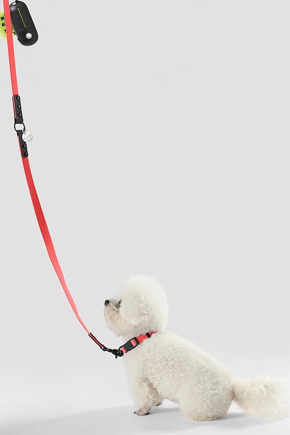 WLK1004M-5SET Luna Small 8FT Adjustable 6-in-1 Waterproof Hands-Free Leash and Collar with LED Flashlight, Bag Dispenser, and Poop Bag Holder, Shirley