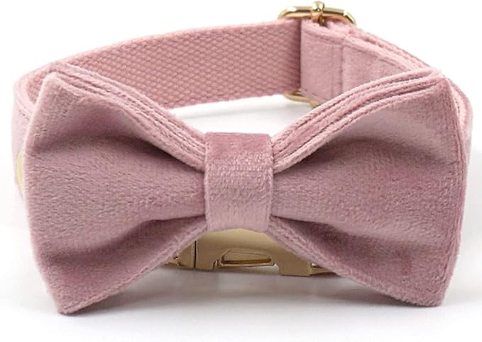PETDURO Custom Dog Collar Personalized with Name Engraved Gold Metal Buckle for Large Medium Small Girl Dogs - Dog Leash and Bow Tie Available - Soft Comfy Velvet (Champagne Pink, L)
