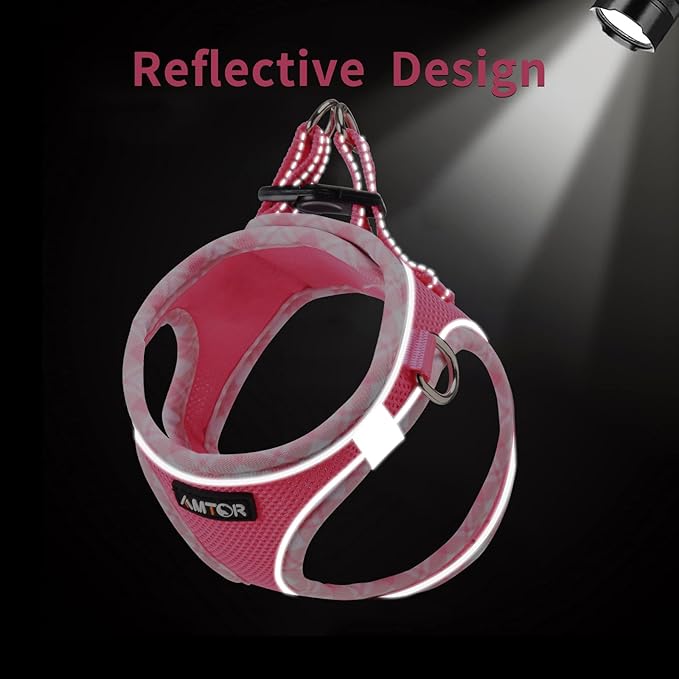 AMTOR Small Dog Harness with Leash Set, No Escape Easy Walk Puppy Harnesses for Training Walking, Step-in Reflective Soft Dogs Vest for XS S Medium Extra-Small Large Sized Dog(Fuchsia,XS)