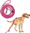 12ft No Pull No Choke Leash Long Rope Dog Leash, Anti Pulling, Dog Leads for Walking, Double Hook & Escape Proof for All Breeds, Reflective HOT Pink