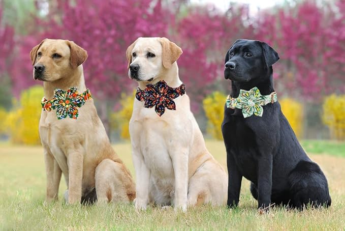 Lionheart Glory Cute Lemon Floral Pattern Adjustable Dog Collar for Small Dogs