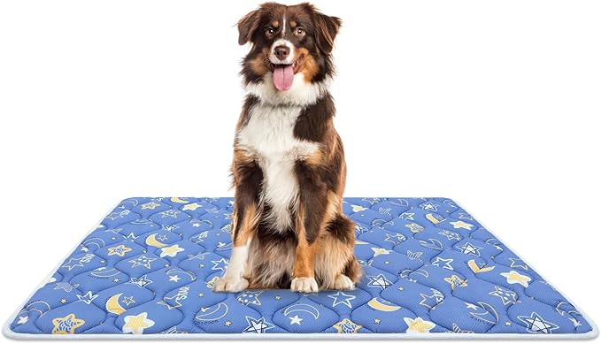 Bubble bear Dog Crate Mat - Ultra Soft, Washable & Anti-Slip Kennel Pad for Small/Medium/Large Dogs, Dark-Hued to Hide Stains (59"x35")