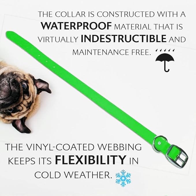 Regal Dog Products Small Light Green Waterproof Dog Collars with Custom Engraved Name Plate | Vinyl Coated, Easy to Clean Personalized Biothane Dog Collar - Other Sizes for Medium & Large Dogs