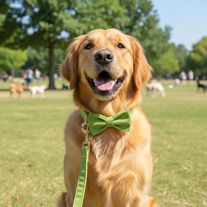 PETDURO Custom Dog Collar Personalized with Name Engraved Quick Release Rose Gold Metal Buckle for Large Medium Small Girl Dogs - Dog Leash and Bow Tie Available - Soft Comfy Velvet (Green, L)