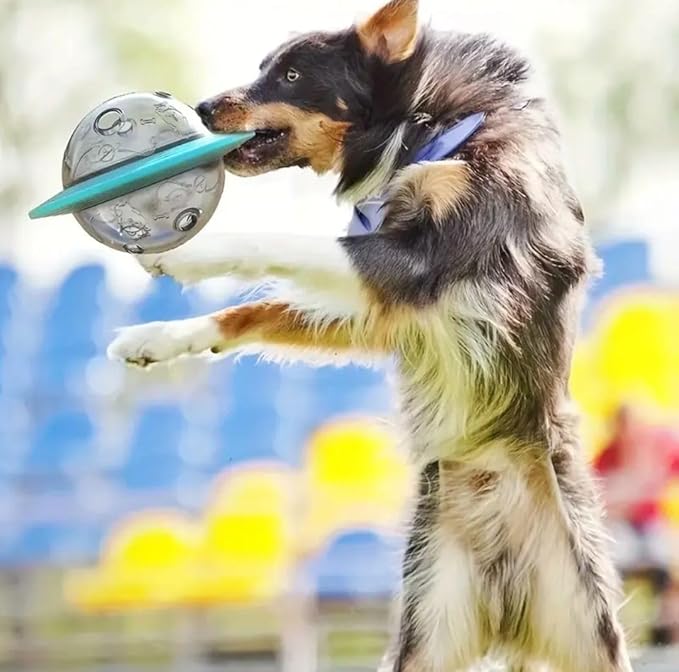 BYBURYA Interactive Treat Toys for Dog, Cat and Puppy - Fun Puzzle Toy Space Ball for Small Medium and Large Dogs - Anti Boredom Mental Stimulation Cognitive and Chew Tug Pets Toy