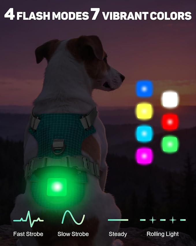 TagME No Pull Dog Harness with 2 Leash Clips,Lightweight & Visible for All-Day Walking,No Choke Pet Vest Includes AirTag Holder for Small Dogs,Teal