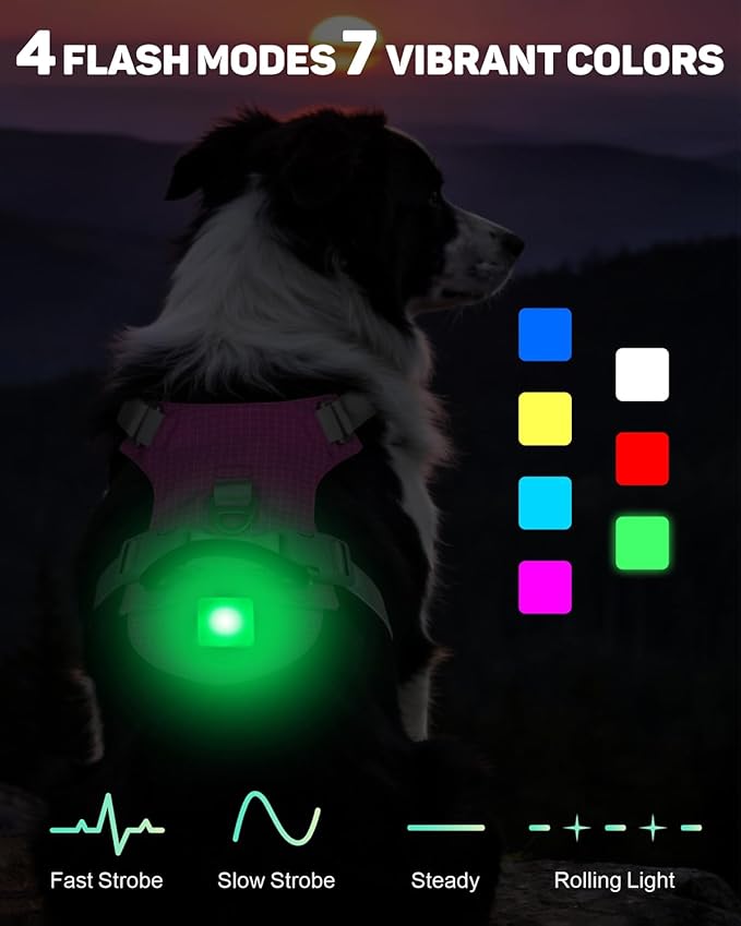 TagME No Pull Dog Harness with 2 Leash Clips,Lightweight & Visible for All-Day Walking,No Choke Pet Vest Includes AirTag Holder for Large Dogs,Fuchsia Pink