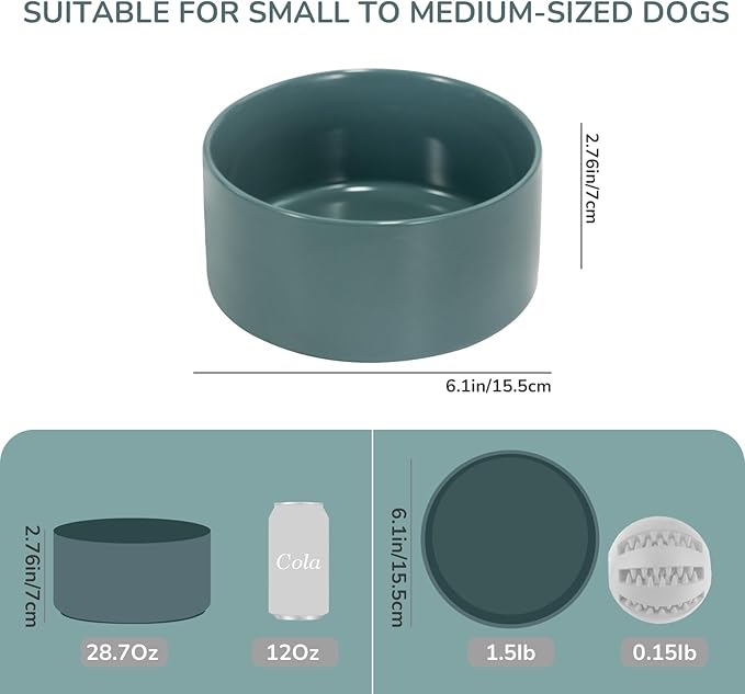 SPUNKYJUNKY 28.7OZ Ceramic Dog and Cat Bowl, Modern Cute Weighted Food Water Bowl for Replacement Light Green (2 Pack)