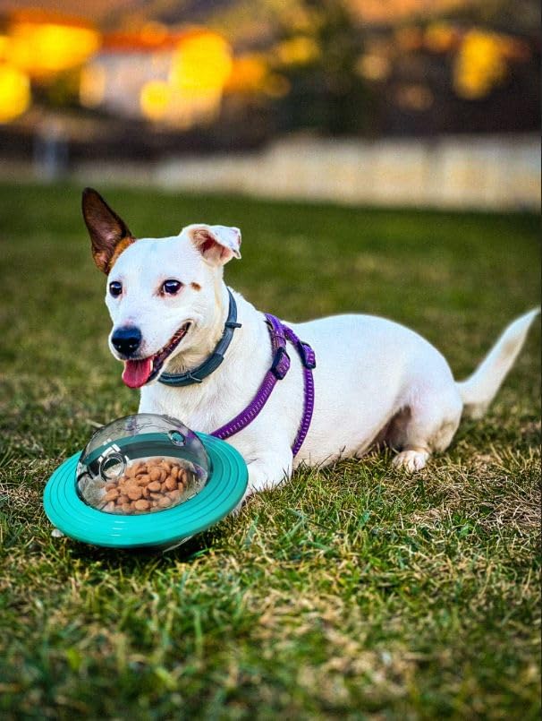 BYBURYA Interactive Treat Toys for Dog, Cat and Puppy - Fun Puzzle Toy Space Ball for Small Medium and Large Dogs - Anti Boredom Mental Stimulation Cognitive and Chew Tug Pets Toy