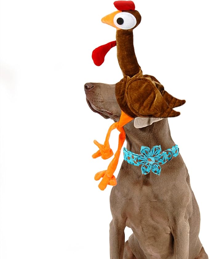 Elegant Little Tail Dog Collar with Thanksgiving Turkey Print, Flower Dog Collar for X-Small Dogs