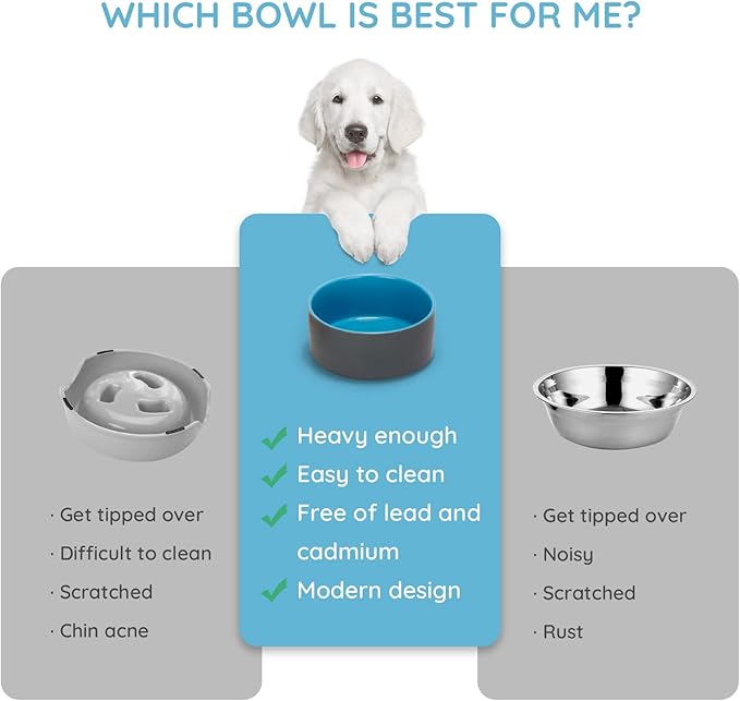 SPUNKYJUNKY 28.7OZ Ceramic Dog and Cat Bowl, Modern Cute Weighted Food Water Bowl for Replacement Blue-Grey (2 Pack)
