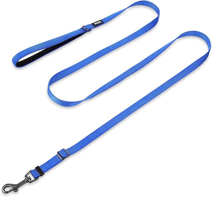 Hyhug Nylon Adjustable 4-6ft Dog Leash with Soft Neoprene Padded Handle, Durable Heavy Duty Leash with Easy-to-Use Bolt Snap, Ideal for Jogging Outdoor