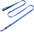Hyhug Nylon Adjustable 4-6ft Dog Leash with Soft Neoprene Padded Handle, Durable Heavy Duty Leash with Easy-to-Use Bolt Snap, Ideal for Jogging Outdoor